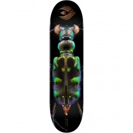 Powell Peralta FLIGHT Biss Tiger Beetle Skateboard Deck
