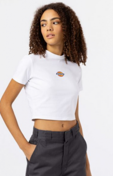 Dickies Maple Valley T-shirt 