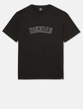 Dickies Union Springs Kortærmet T-shirt