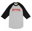 AntiHeroSkateboardCompanyRaglanTshirt-01