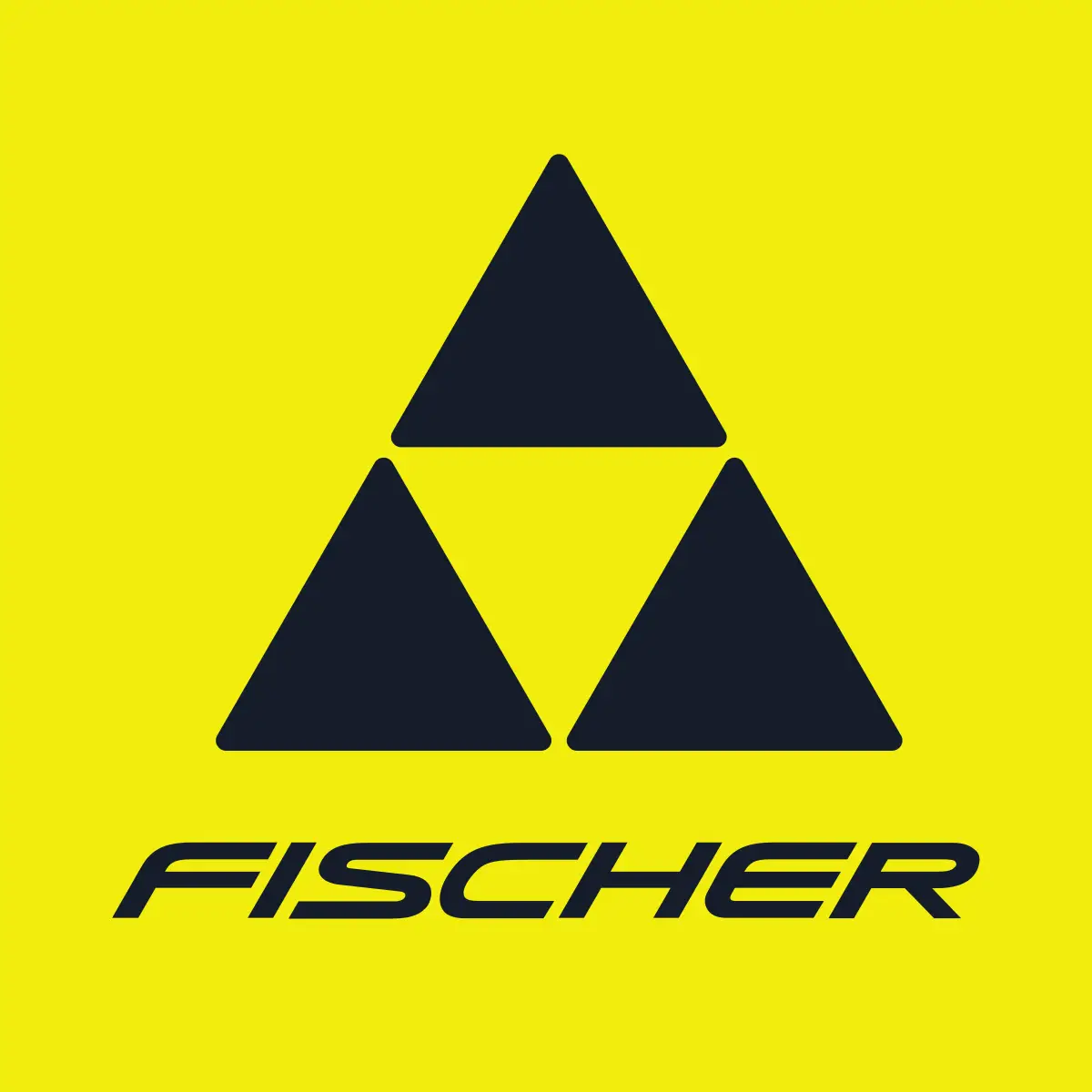 Logo of Fischer