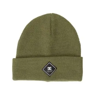 DC Label Beanie Hue - Beanies