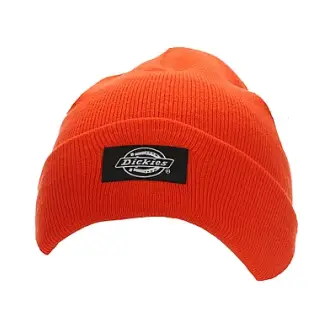 Dickies Yonkers Beanie - Dickies