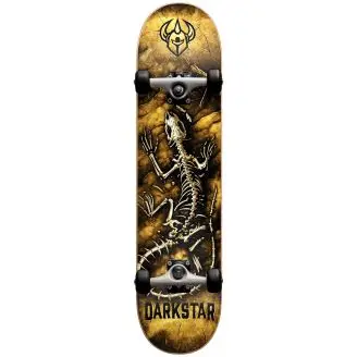 Darkstar Fossil Youth Komplet Skateboard - Komplette Skateboard