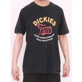 Dickies Mattoon  T-shirt - Dickies