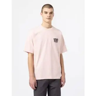Dickies 100 Logo tee S/S - Kortærmet