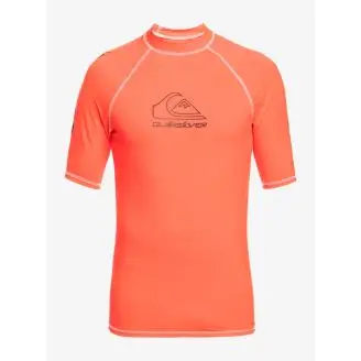 Quiksilver On Tour - Short Sleeve UPF 50 T-shirt - Soltøj