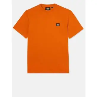 Dickies Mount Vista Kortærmet T-shirt - Kortærmet