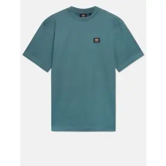 Dickies Mount Vista Kortærmet T-shirt - Kortærmet