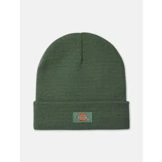 Dickies Gibsland Beanie - Beanies