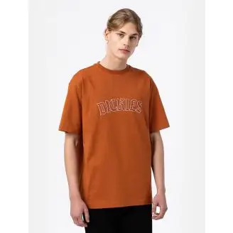 Dickies Union Springs Kortærmet T-shirt - Dickies