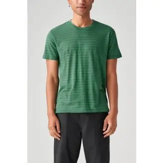 Globe Horizon Striped T-shirt - Globe