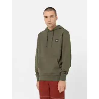 Dickies Mount Vista Hoodie - Hoodies