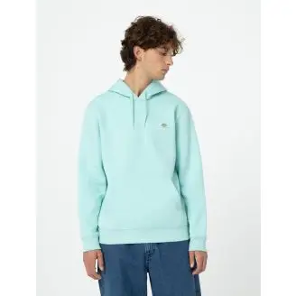 Dickies Oakport Hoodie - Hoodies